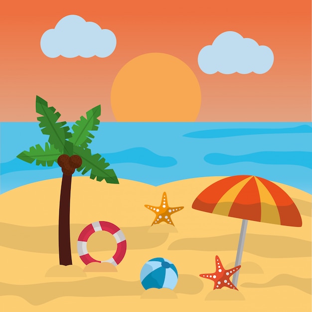 해변 여름 팜 우산 공 불가사리 태양 구름과 바다