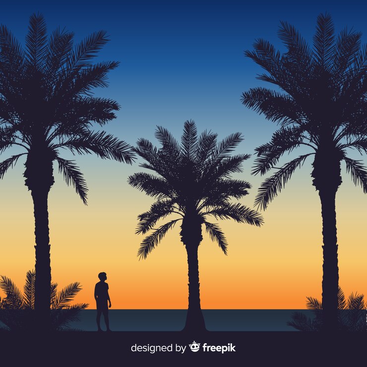 Free Vector beach sunset with palm silhouettes