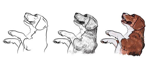 かわいいビーグル犬のイラスト プレミアムベクター かわいいビーグル犬のイラスト プレミアムベクター