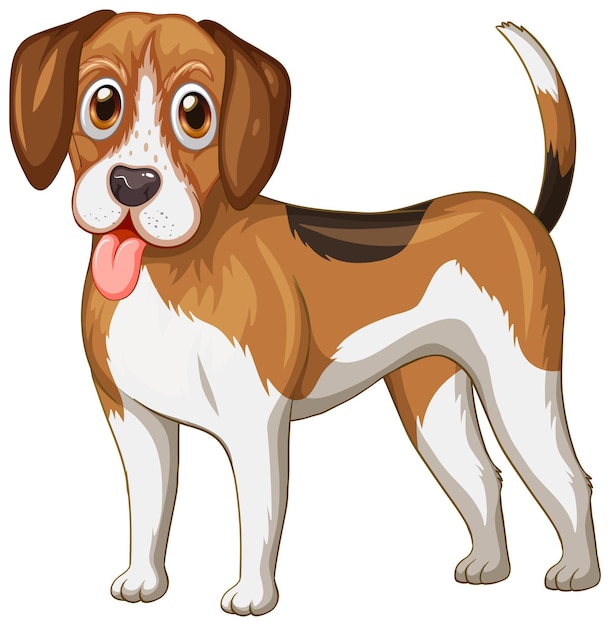 Beagle dog cartoon on white background