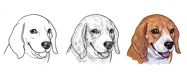 かわいいビーグル犬のイラスト プレミアムベクター