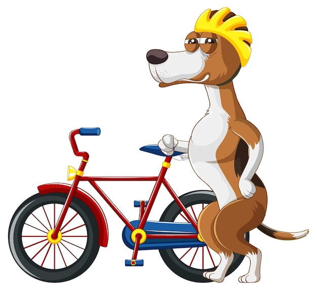 Un beagle in piedi su due gambe accanto a una bicicletta