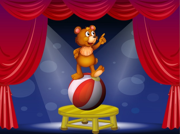 A bear at the circus show