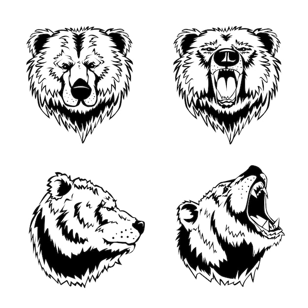 Bear Head Hand Drawn Engravings 