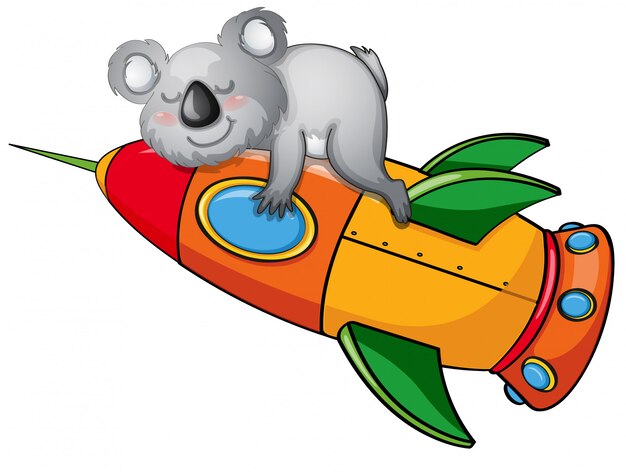 Bear on a rocket