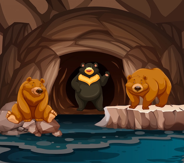 Bears living in the cave