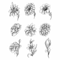 Free vector beautiful artistic sketch floral set