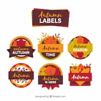 Free vector beautiful autumn badges