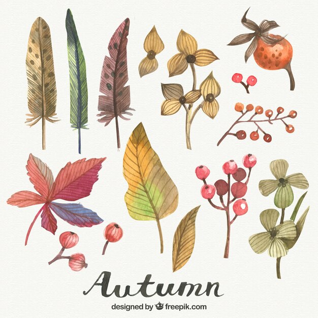 Beautiful autumn elements painted with watercolors