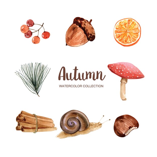 Vettore gratuito bella illustrazione di autunno con l'acquerello per uso decorativo.