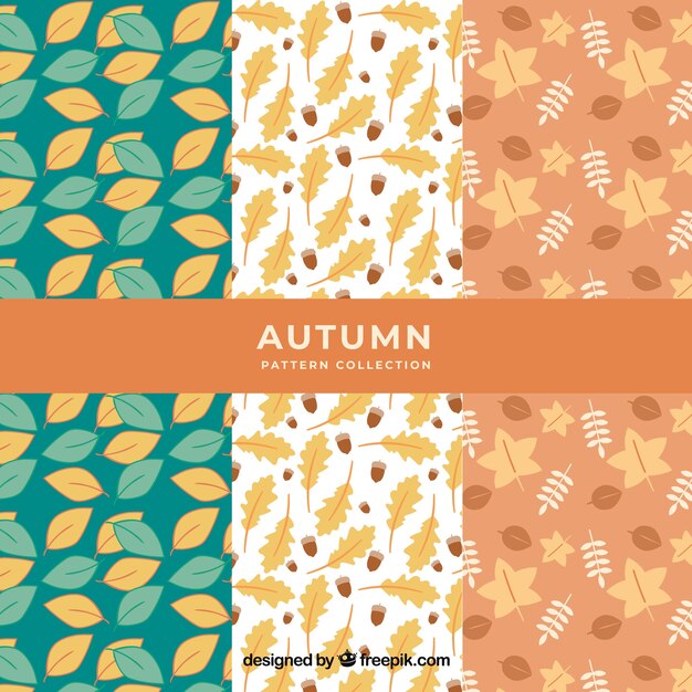 Beautiful autumn pattern collection