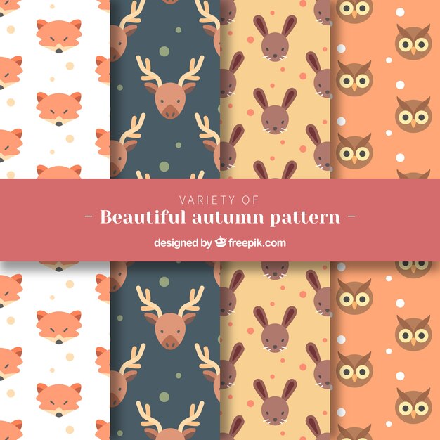 Beautiful autumn pattern