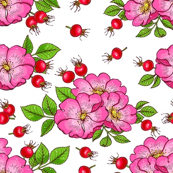 Dogrose 꽃과 과일의 아름 다운 배경입니다. 손으로 그린 그림