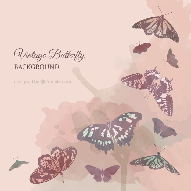 Beautiful background with vintage butterflies