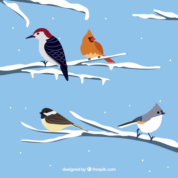 Beautiful birds on snowy branches