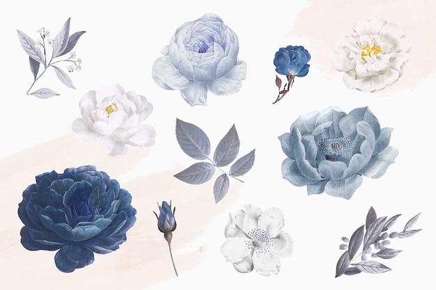 Free vector beautiful blue rose objects