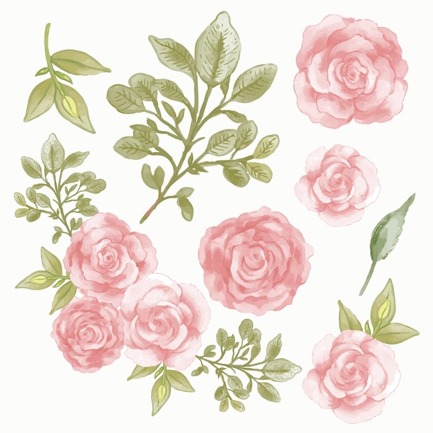 Free vector beautiful bouquet of flowers and leave for decoration in water colors style