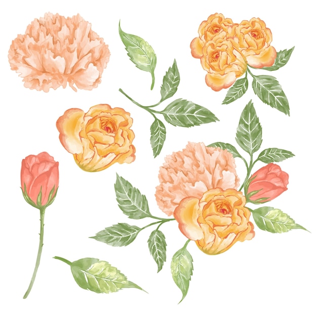 Free vector beautiful bouquet of flowers and leave for decoration in water colors style