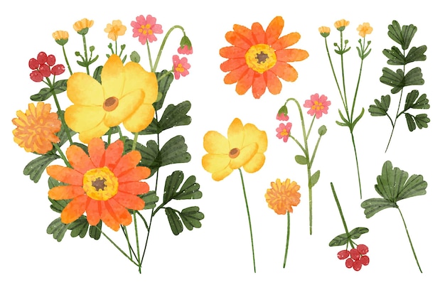 Free vector beautiful bouquet of flowers and leave for decoration in water colors style