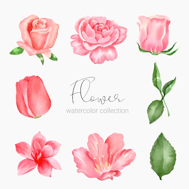 Free vector beautiful bouquet of flowers and leave in water colors style