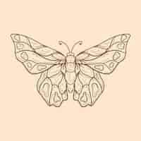 Free vector beautiful butterfly outline illustration