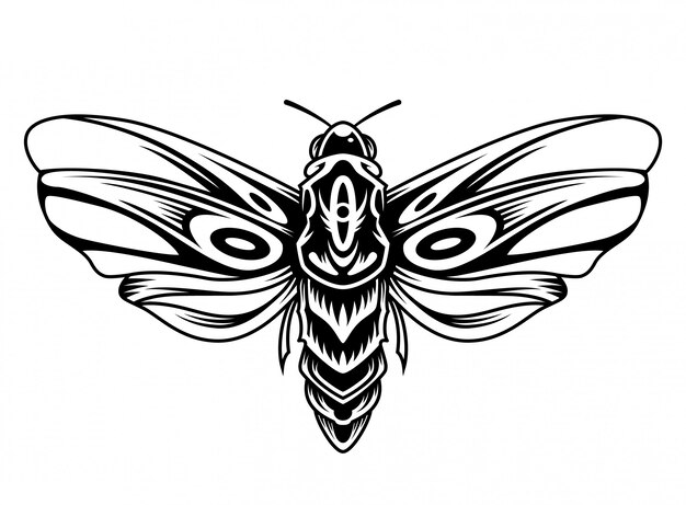 Beautiful butterfly vintage concept