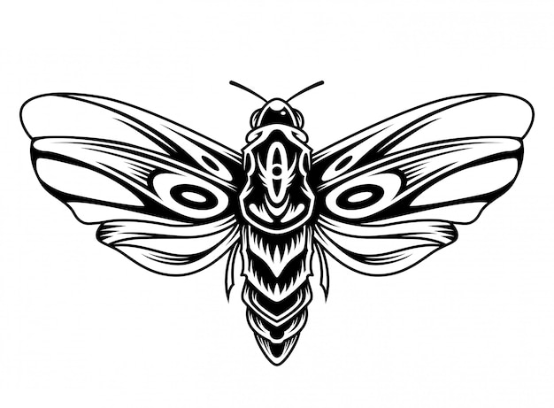 Beautiful butterfly vintage concept