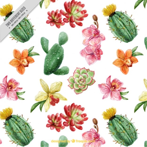Download Free Beautiful cacti and flowers background with watercolor effect SVG DXF EPS PNG - The Best ...