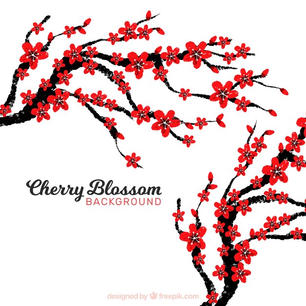 Beautiful cherry blossom background design