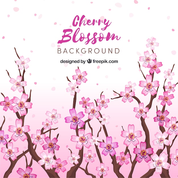 Beautiful cherry blossom background in flat design