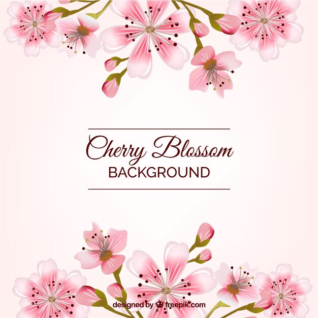 Beautiful cherry blossom background