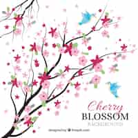 Vettore gratuito bellissimo sfondo di fiori di ciliegio