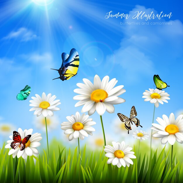 Beautiful colorful butterflies and green grass with camomile flowers background flat vector illustra