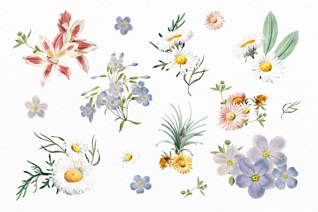 Бесплатное векторное изображение Красивый красочный цветочный набор