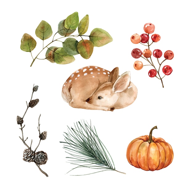 Free vector beautiful creative autumn watercolor illustration for decorative use.