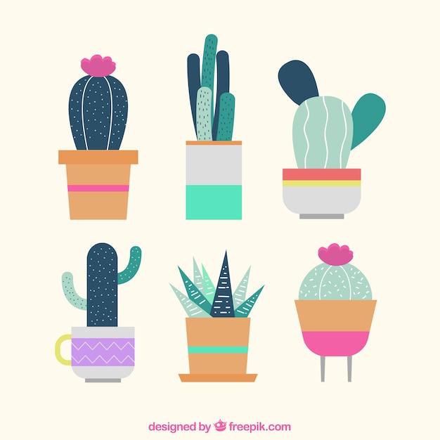 Beautiful decorative cactus in flat design