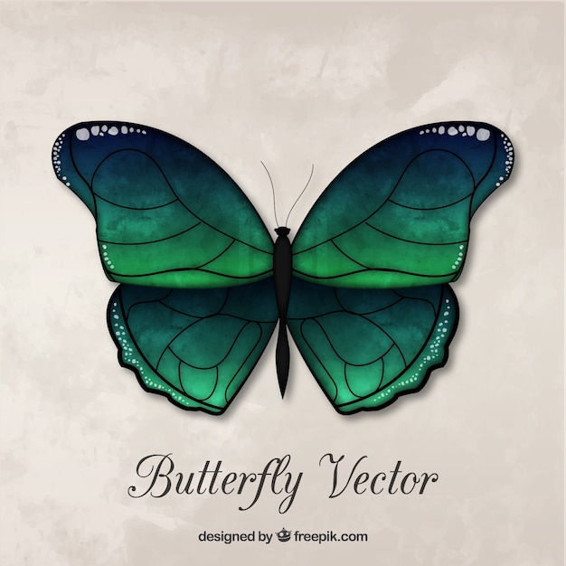 Free vector beautiful decorative green butterfly