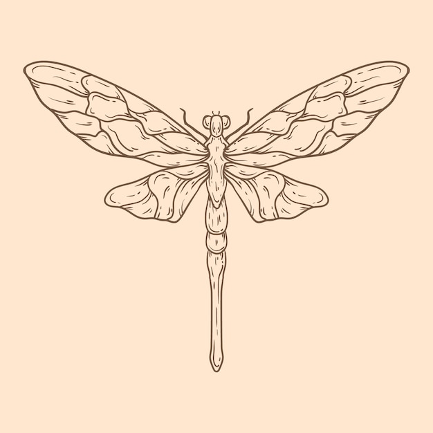 Beautiful dragonfly outline illustration