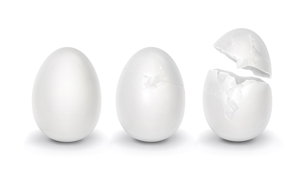 Beautiful egg illustration set