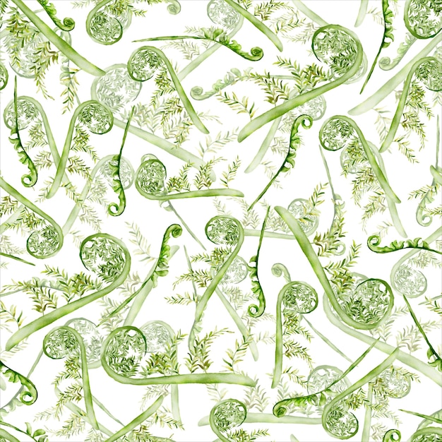 beautiful elegant watercolor greenery fern floral seamless pattern