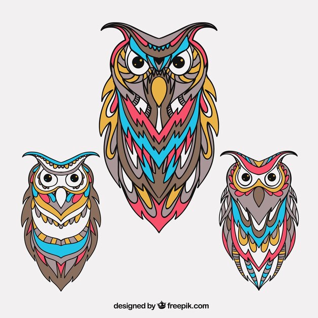 Beautiful ethnic owl collection