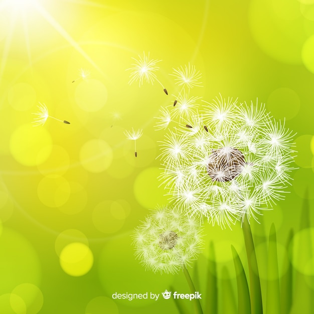 Free vector beautiful floral background in realistic style