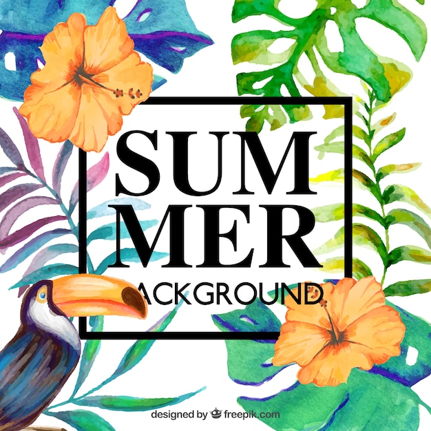 Free vector beautiful floral background for summer