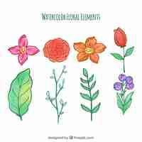 Free vector beautiful floral elements collection