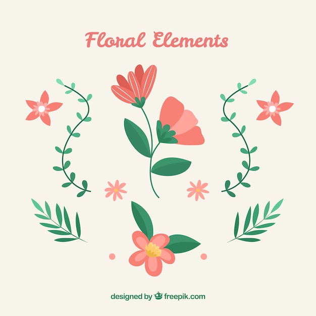 Beautiful floral elements collection