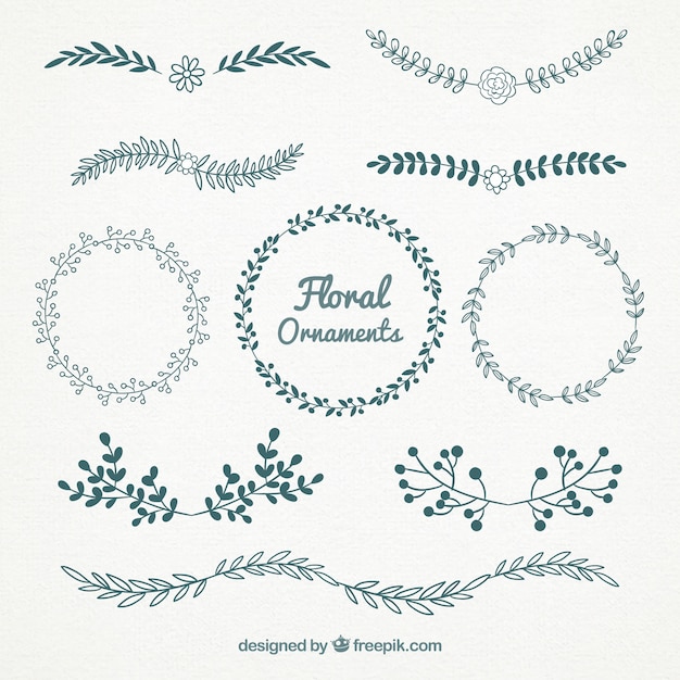 Free vector beautiful floral ornaments