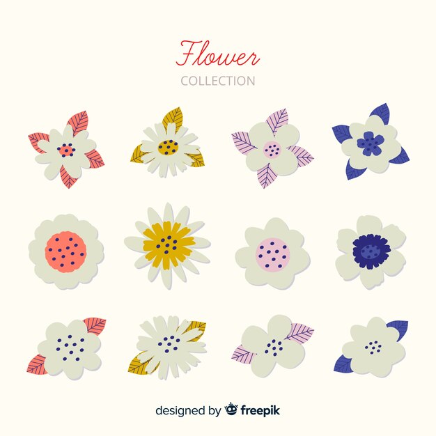 Beautiful flowers collection