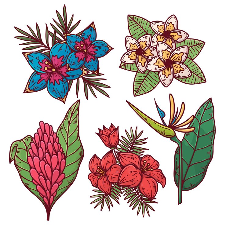 免費 Vector 美麗的花朵收藏
