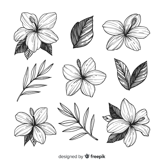 Beautiful flowers hand drawn style