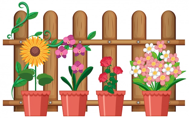 Free vector beautiful flowers in pots on white background